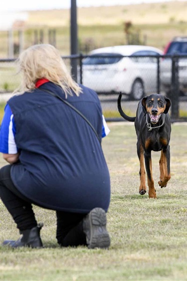 Eynesbury Dog Park Opening