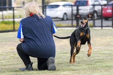 Eynesbury Dog Park Opening