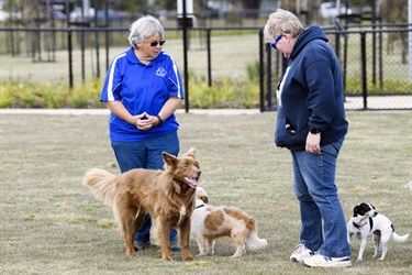 Eynesbury Dog Park Opening