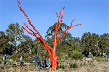 Melton Botanic Garden