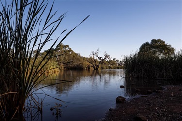 Melton Botanic Garden